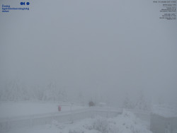 Pohled na jihozápad, Smrk