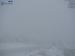 Pohled na jihozápad, Smrk