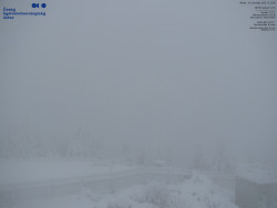 Pohled na jihozápad, Smrk