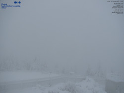 Pohled na jihozápad, Smrk