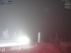 Pohled na jihozápad, Smrk