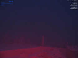 Pohled na jihozápad, Smrk