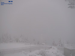 Pohled na jihozápad, Smrk