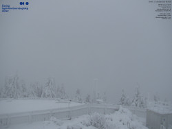 Pohled na jihozápad, Smrk