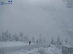 Pohled na jihozápad, Smrk