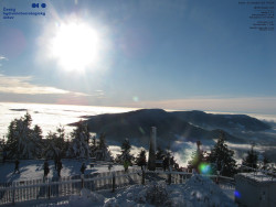 Pohled na jihozápad, Smrk