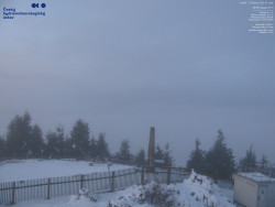 Pohled na jihozápad, Smrk