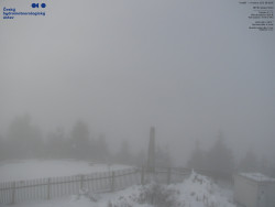 Pohled na jihozápad, Smrk