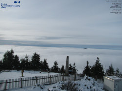 Pohled na jihozápad, Smrk