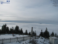 Pohled na jihozápad, Smrk