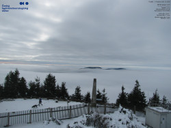 Pohled na jihozápad, Smrk