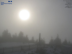 Pohled na jihozápad, Smrk