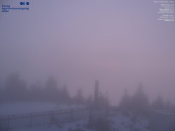 Pohled na jihozápad, Smrk