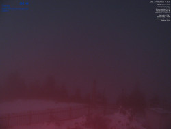 Pohled na jihozápad, Smrk