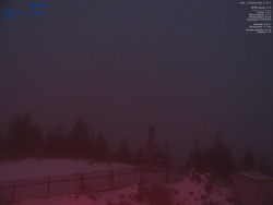 Pohled na jihozápad, Smrk