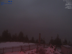 Pohled na jihozápad, Smrk