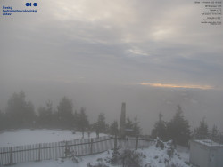 Pohled na jihozápad, Smrk