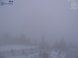 Pohled na jihozápad, Smrk