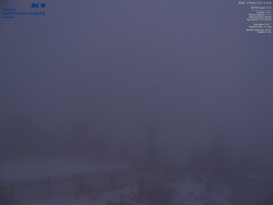 Pohled na jihozápad, Smrk