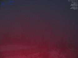 Pohled na jihozápad, Smrk