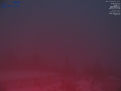 Pohled na jihozápad, Smrk