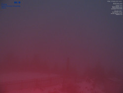 Pohled na jihozápad, Smrk