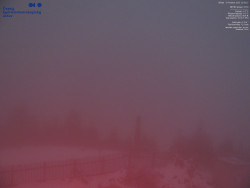 Pohled na jihozápad, Smrk