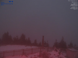 Pohled na jihozápad, Smrk