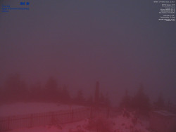 Pohled na jihozápad, Smrk