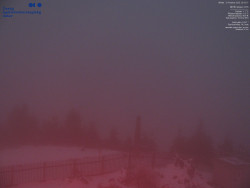 Pohled na jihozápad, Smrk