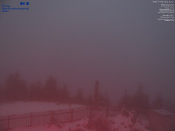 Pohled na jihozápad, Smrk