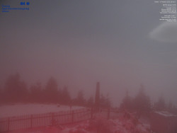 Pohled na jihozápad, Smrk