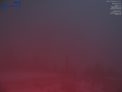 Pohled na jihozápad, Smrk