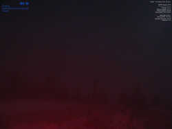 Pohled na jihozápad, Smrk