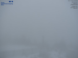 Pohled na jihozápad, Smrk