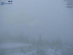 Pohled na jihozápad, Smrk