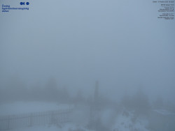 Pohled na jihozápad, Smrk