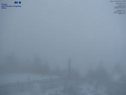 Pohled na jihozápad, Smrk