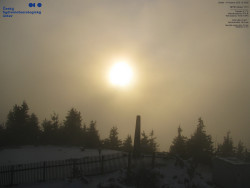 Pohled na jihozápad, Smrk