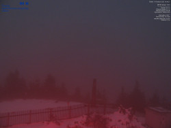 Pohled na jihozápad, Smrk