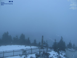 Pohled na jihozápad, Smrk