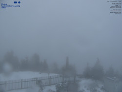 Pohled na jihozápad, Smrk