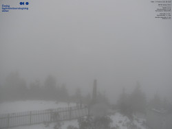 Pohled na jihozápad, Smrk