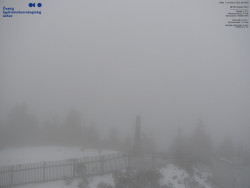 Pohled na jihozápad, Smrk