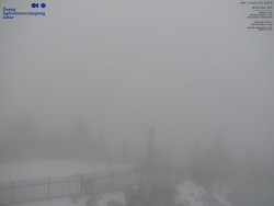 Pohled na jihozápad, Smrk