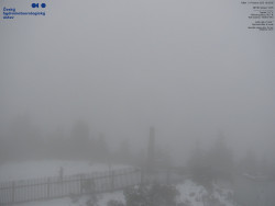 Pohled na jihozápad, Smrk