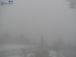 Pohled na jihozápad, Smrk