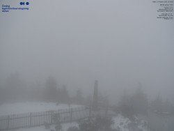 Pohled na jihozápad, Smrk