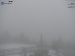 Pohled na jihozápad, Smrk