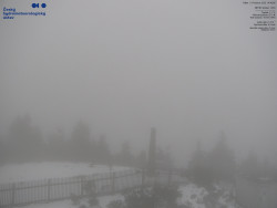 Pohled na jihozápad, Smrk